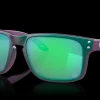 Shop Holbrook™ Troy Lee Designs Series Herre Livsstil